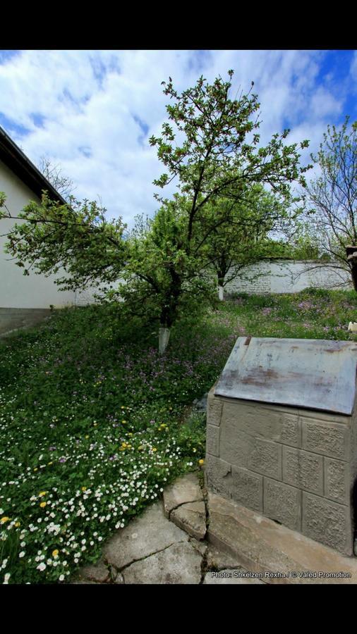 Bujtina Zhaveli Bed & Breakfast Gjakova Exterior photo